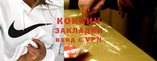 индика Заполярный