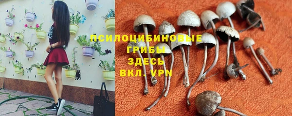mdpv Горняк