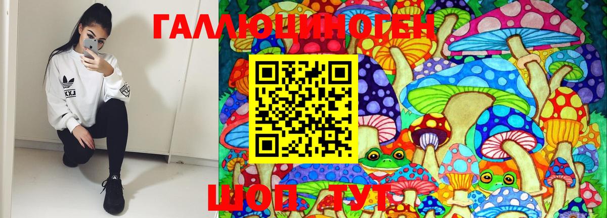 Псилоцибиновые грибы Psilocybe Нурлат