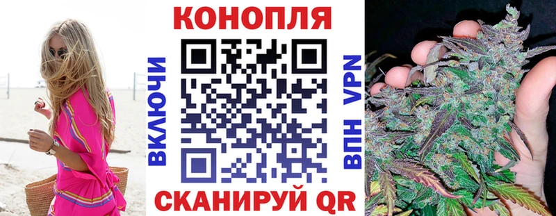 Бошки Шишки сатива  Нурлат 